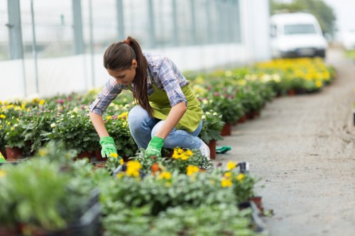 Gardener preparing to trim hedge with tools